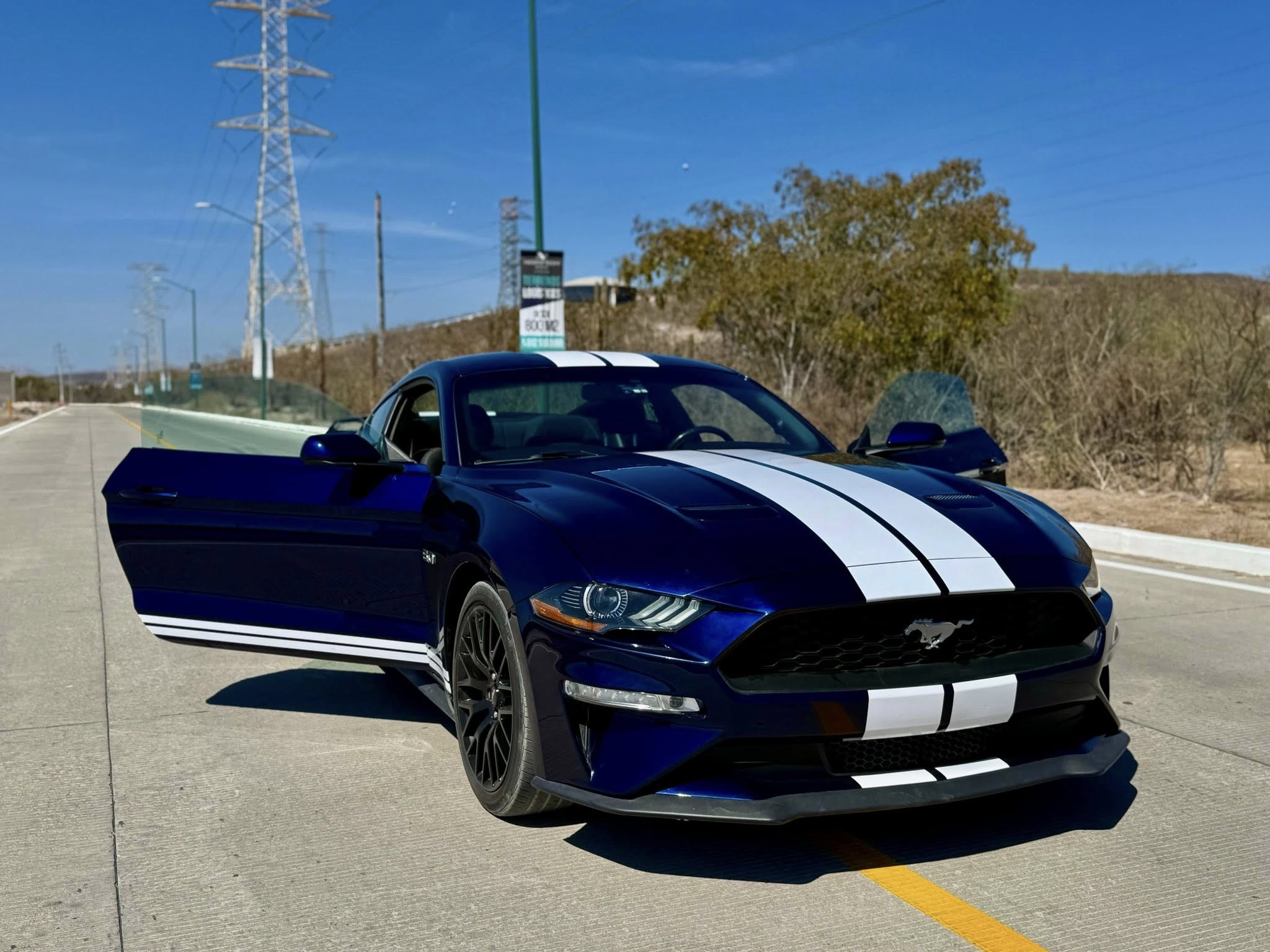 Mustang GT 2019